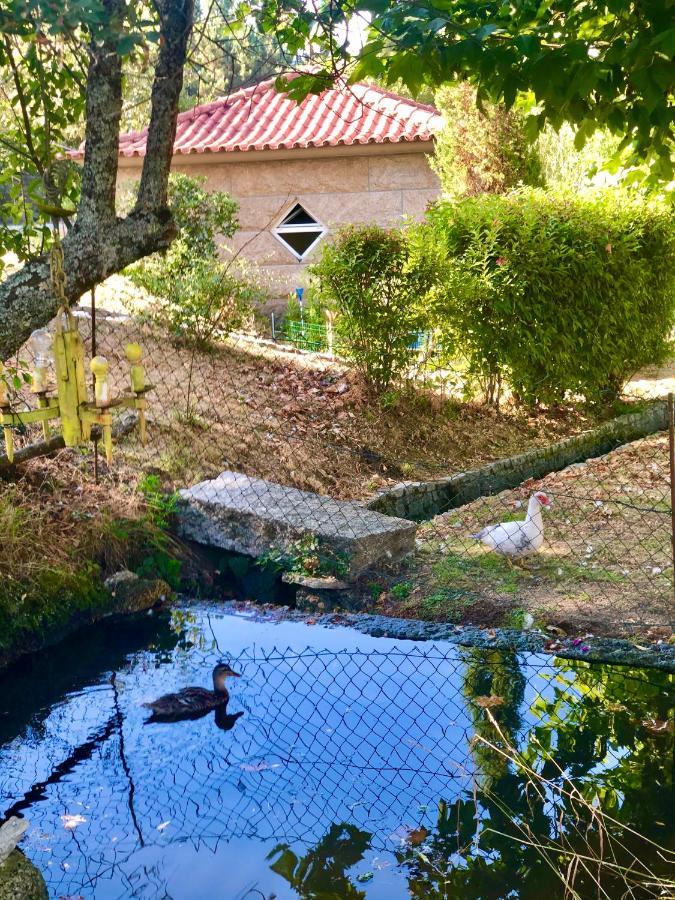 Villa Casa Da Quinta Da Prelada Simao Celorico De Basto Esterno foto