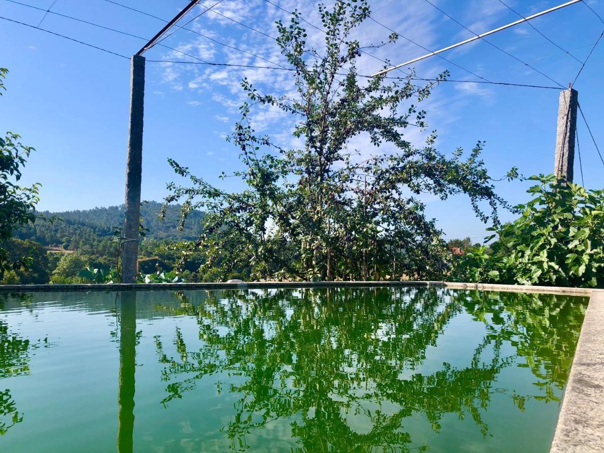 Villa Casa Da Quinta Da Prelada Simao Celorico De Basto Esterno foto
