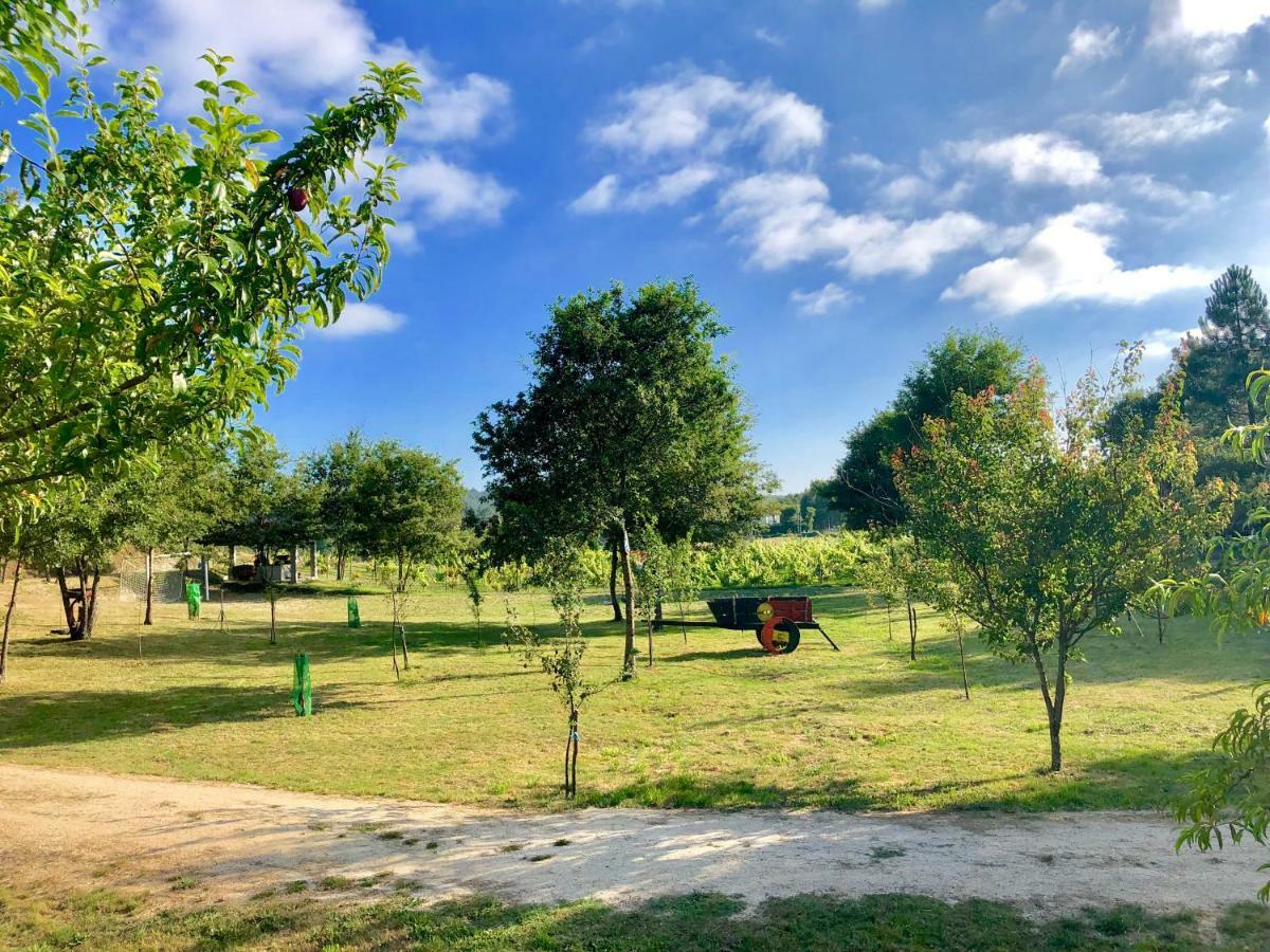 Villa Casa Da Quinta Da Prelada Simao Celorico De Basto Esterno foto