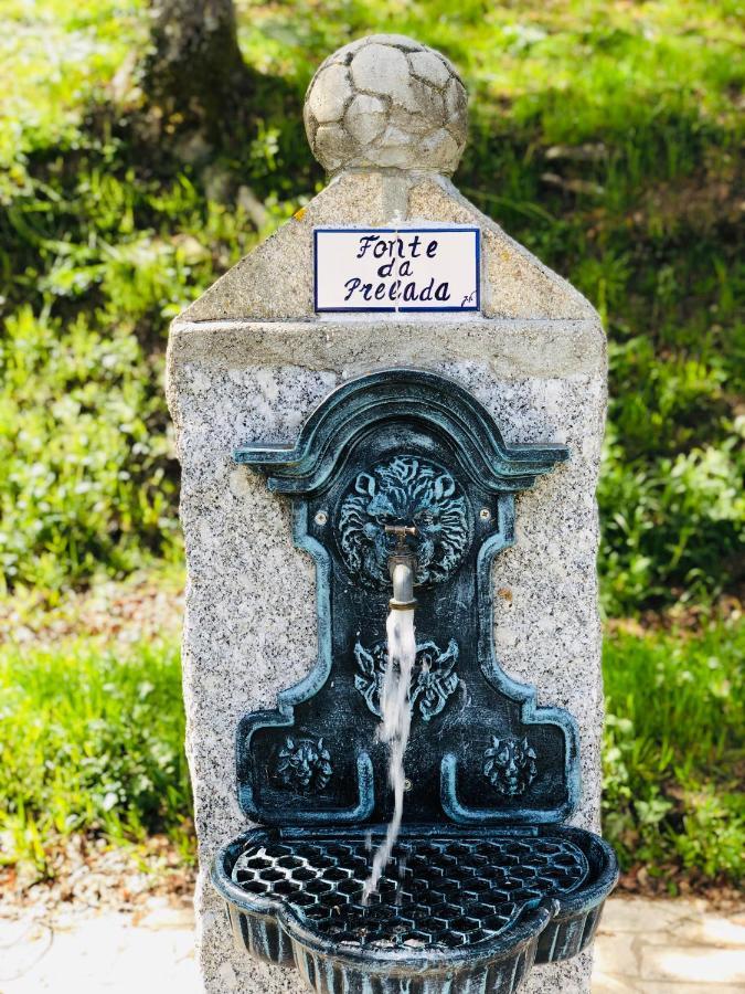 Villa Casa Da Quinta Da Prelada Simao Celorico De Basto Esterno foto