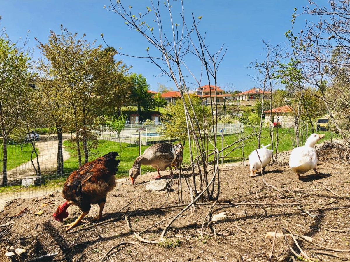 Villa Casa Da Quinta Da Prelada Simao Celorico De Basto Esterno foto
